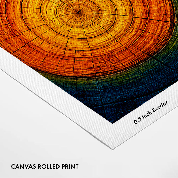 abstract-tree-ring-canvas-wall-art-print