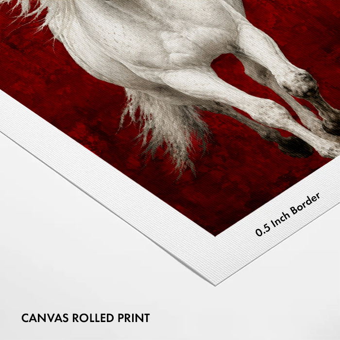 majestic-white-horse-canvas-wall-art-print